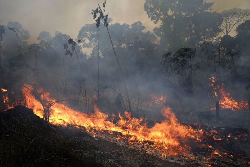 亞馬遜森林大火（圖片來源：美聯社）。.jpg
